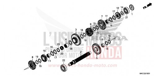 TRASMISSIONE (ALBERO SECONDARIO) (DCT) GL1800BDL di 2020